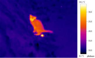 и враг и оружие.....