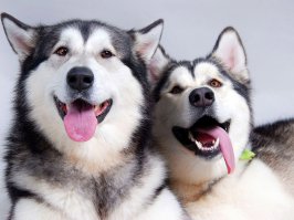 Когда я посмотрела в его глаза