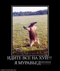 Бойцовый муравьед против кенгуру