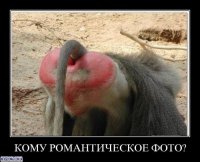 37 фотографий о том, что природа нас любит