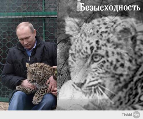 Путин зашел в клетку с леопардом 