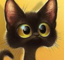 Животные в шоке