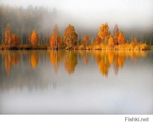 Фишкина солянка за 01.09.2014г.