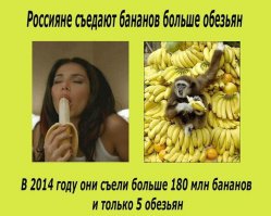 А вы знали, что...