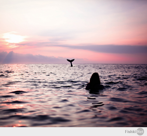 про ракурс вот этой русалке расскажи