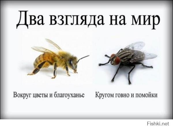 Два взгляда на мир -- кругом дебилы с травматами, преступники и психи или...