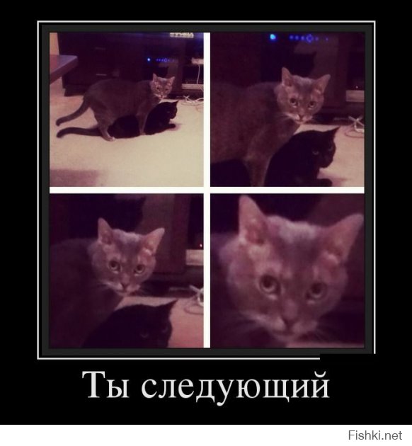 Наш адрес — Советский Союз