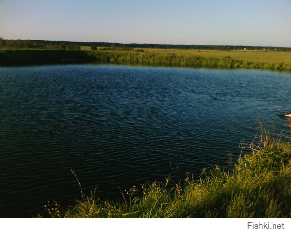 Ну вот, душу растравил.