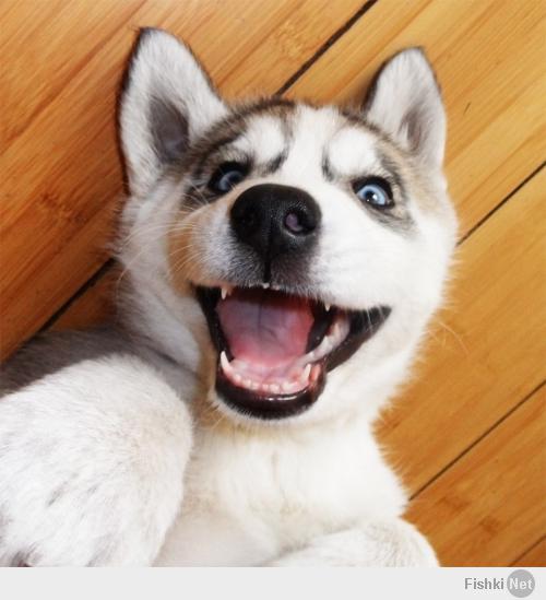 не только французики :)