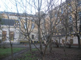 Еще в студенческие годы наша группа пила чай всегда возле одного дерева. Мы его так и назвали - чайное дерево. Сейчас я на это смотрю, как на "фу", ну, а тогда весело было. Фото для наглядности.