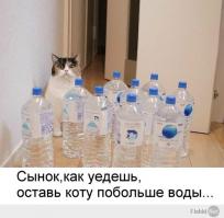 Фишкина солянка за 07.08.2014