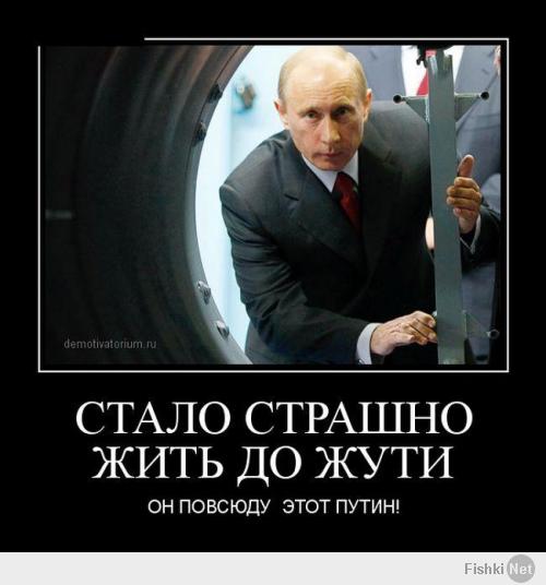 Повсюду Путин