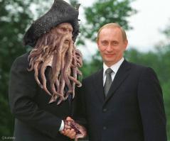 Животные Путина: кто они?