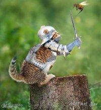 Доспехи "богов". Эпическая битва древних врагов