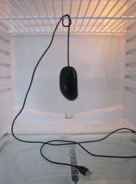 У нормального студента  в холодильнике