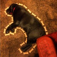 "Железная" выдержка!