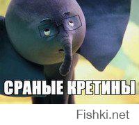 Чудики из социальных сетей