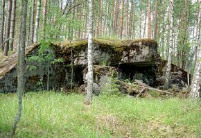 У нас, рядом с Питером, таких "мегалитов" :) - ну просто овер дохрена. "Линия Маннергейма" они называются :)
