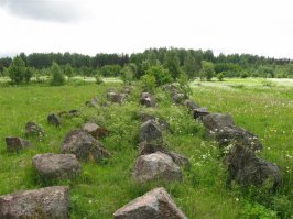 У нас, рядом с Питером, таких "мегалитов" :) - ну просто овер дохрена. "Линия Маннергейма" они называются :)