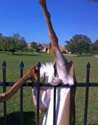 Ууууу аж самому не по себе стало