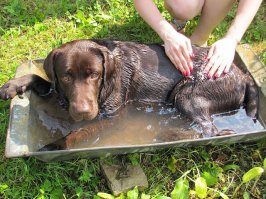 У нас хватило денег только на такой бассейн
