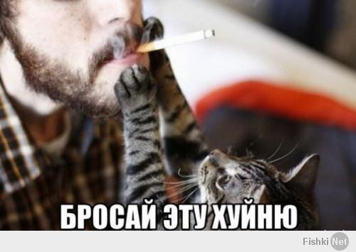 Кот всегда рад помочь хозяину избавиться от вредных привычек)