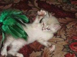 Фотоподборка из серии "тогда и сейчас"