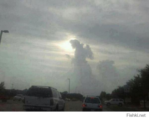 Фотоподборка за 24.07.2014