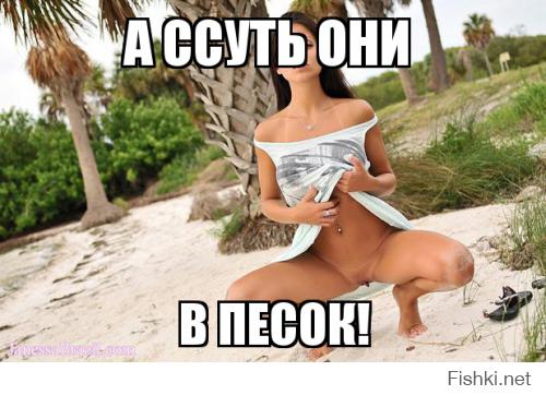 Урок "вежливости"