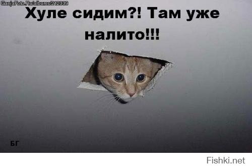 Пятницо, йопт)