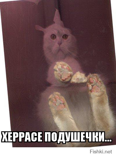 Все видели шедевр &quot;Кошка