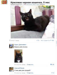 Фотогеничность 