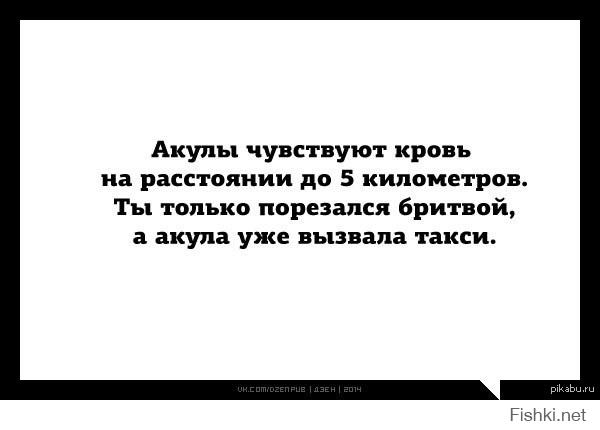 Смешные комментарии из социальных сетей 28.10.14