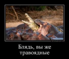 Демотиваторы 