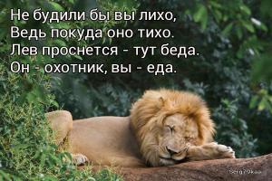 Фишкина солянка за 25.08.2014