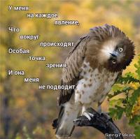 Фишкина солянка за 25.08.2014