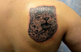 33 великолепных татуировки для любителей животных (33 фото)