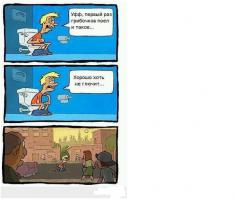 Как выращивают грибы в Беларуси