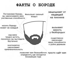 Румынские бороды
