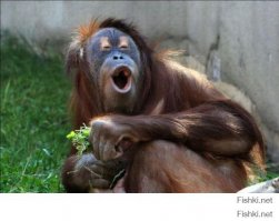 Актриса Кира Найтли отмечает 30-летие