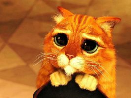 выпустите меня умоляю!!