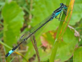 Наверное света маловато. Или объектив не светосильный. Вот я на мыльницу фоткал , без штатива. Объектив у меня 1.8. ;