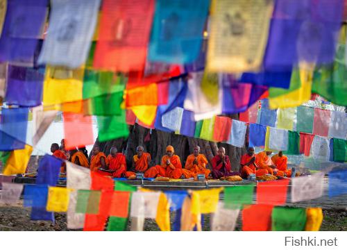 Почти ничего не понравилось. На том-же 35photo.ru множество прекрасных фот каждую неделю.