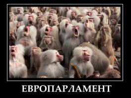 Фотоподборка за 04.09.2014