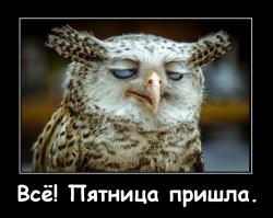 Фотоподборка за 05.09.2014