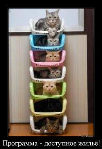 Фотоподборка за 08.09.2014