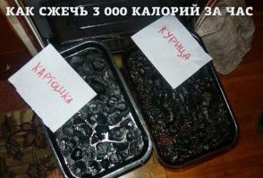 Фотоподборка за 14.10.2014