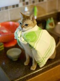 Щя как спасу мир!