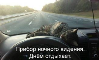 Фотоподборка за 30.10.2014