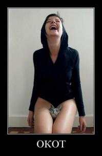 Фотоподборка за 07.11.2014